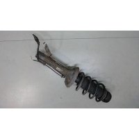 Амортизатор подвески перед. правая Volkswagen Golf 4 1997-2005 2003 1J0413031BJ