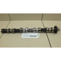 Распредвал впускной Land Rover Freelander 2 (2007 - 2014) LR021913