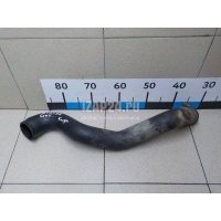 Патрубок интеркулера Ford Kuga (2008 - 2012) 1525264
