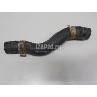 Патрубок радиатора Honda Civic 5D (2006 - 2012) 19501RSAG00