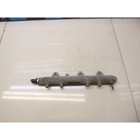 Рейка топливная (рампа) Ford Ranger (2006 - 2012) 1449265