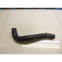 Патрубок радиатора Ford Ranger (2006 - 2012) 5031513