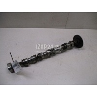 Распредвал выпускной VAG A5/S5 [8T] Coupe/Sportback (2007 - 2016) 06H109022BD