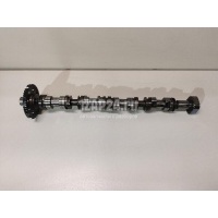 Распредвал выпускной VAG A5/S5 [8T] Coupe/Sportback (2007 - 2016) 06H109022BD