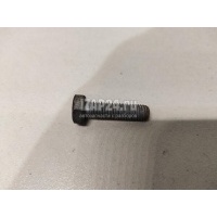 Болт VAG A4 [B8] Allroad (2009 - 2015) N01024426