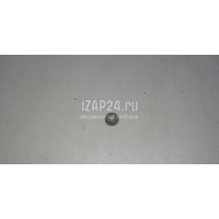 Гайка VAG A7 (4G8) (2011 - 2018) N90106304
