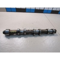 Распредвал выпускной VAG Allroad quattro (2006 - 2012) 06E109102BE