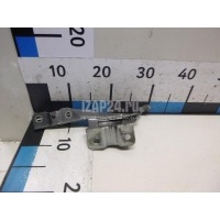 Петля капота правая Hyundai-Kia Sorento II (2009 - 2020) 791202P000
