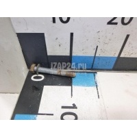Болт опоры Renault Sandero (2009 - 2014) 7703101630