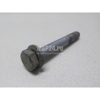 Болт опоры Renault Sandero (2009 - 2014) 7703101630