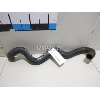Патрубок радиатора Renault Sandero (2009 - 2014) 8200750019