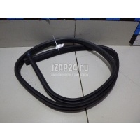 Уплотнитель двери Ford Focus III (2011 - 2019) 1748755