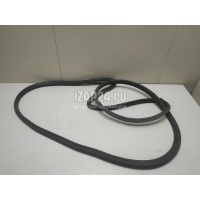 Уплотнитель двери Ford Focus III (2011 - 2019) 1728576