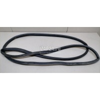 Уплотнитель двери Ford Focus III (2011 - 2019) 1728576