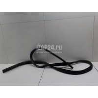 Уплотнитель двери Ford Focus III (2011 - 2019) 1748755