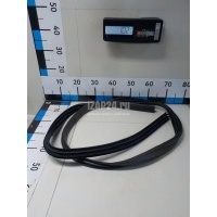 Уплотнитель двери Ford Focus III (2011 - 2019) 1748755