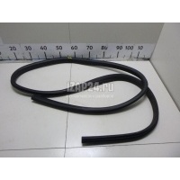 Уплотнитель двери Ford Focus III (2011 - 2019) 1750006