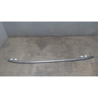 Дуги на крышу (рейлинги) левая Renault Laguna 3 2009- 2008 738210006R