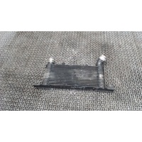 Радиатор интеркулера Mitsubishi Pajero 2000-2006 2006 MR404751