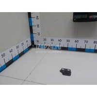 Кронштейн фонаря Renault Scenic III (2009 - 2015) 850423815R