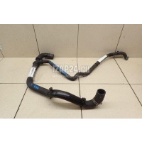 Патрубок радиатора Renault Scenic III (2009 - 2015) 215030070R