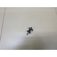 Крепеж Renault Scenic III (2009 - 2015) 7703041048