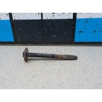 Саморез VAG Polo (Sed RUS) (2011 - 2020) WHT000425