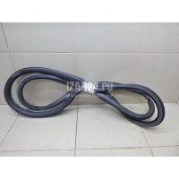 Уплотнитель двери Renault Latitude (2010 - 2015) 769240373R