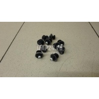Крепеж (клоп) VAG Tiguan (2011 - 2016) 6Q0868243