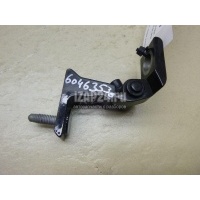 Петля двери задней левой верхняя VAG Allroad quattro (2012 - 2019) 4G0831401C