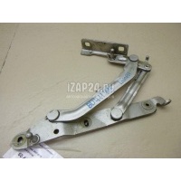 Петля крышки багажника Fiat Linea (2007 - 2018) 51813740