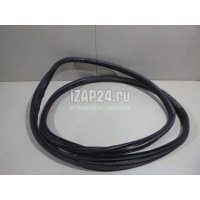 Уплотнитель двери Fiat Linea (2007 - 2018) 51824008