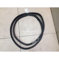 Уплотнитель двери Fiat Linea (2007 - 2018) 51824008
