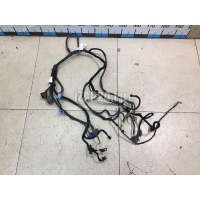 Проводка (коса) Fiat Linea (2007 - 2018) 51802457