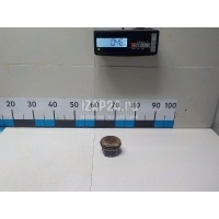 Поршень Renault Duster 2012 120102644R