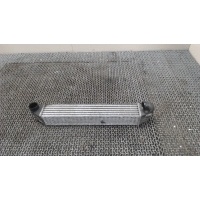 Радиатор интеркулера Ford Galaxy 2000-2006 2002 1710078