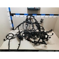 Проводка (коса) Nissan Pathfinder (R52) 2014 240129PB0C