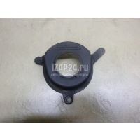 Кожух ремня ГРМ Ford B-MAX (2012 - 2018) AM5G6L070AB