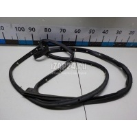 Уплотнитель двери Ford EcoSport 2013 1888416