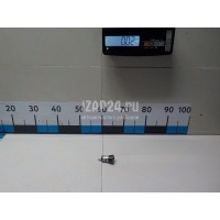 Гнездо прикуривателя Nissan Murano (Z52) 2015 253315AF0A