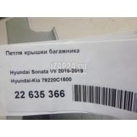 Петля крышки багажника Hyundai-Kia Sonata VII (2015 - 2019) 79220C1500