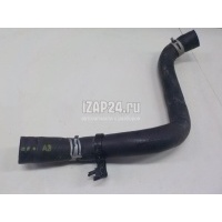 Патрубок радиатора Toyota RAV 4 2019 1657125080