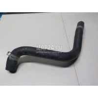 Патрубок радиатора Toyota RAV 4 2019 1657125080