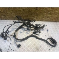 Проводка двигателя Mercedes Sprinter W906 2010 A0001501415