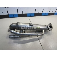 Радиатор системы EGR VAG A6 [C5] (1997 - 2004) 038131513A