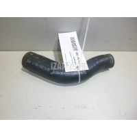 Шланг топливный Ford C-MAX (2003 - 2010) 1303785