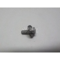 Болт GM Omega B (1994 - 2003) 11080401