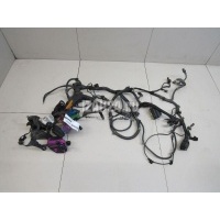 Проводка (коса) GM Astra G (1998 - 2005) 24448220