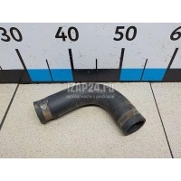 Патрубок радиатора Hyundai-Kia Carnival (1999 - 2005) 0K55215185C