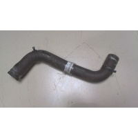 Патрубок охлаждения Renault Clio 2005-2009 2007 8200173003